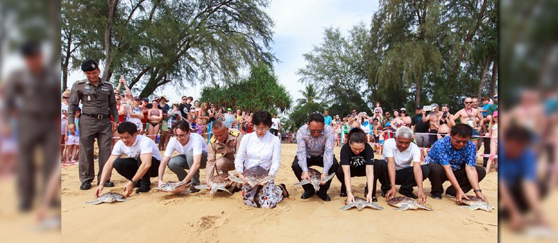 The Mai Khao Marine Turtle Foundation organized<br>  The 8<sup>th</sup> Mai Khao Marine Turtle Release Ceremony on Songkran Day 