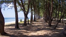 Mai Khao Beach