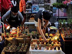 Lardyai Market