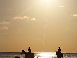 Horse Riding