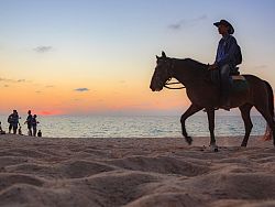 Horse Riding