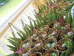 Thai Cooking Classes in Phuket