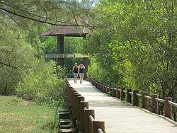 Sapan Hin: Mining Monumen