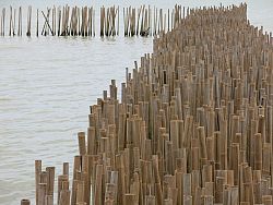 Sapan Hin: Mining Monumen