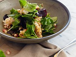 Rock Lobster and Pomegranate Salad by Chef Jonathan
