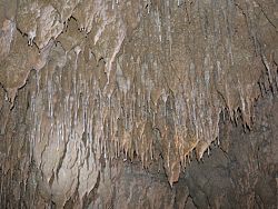 Trang cave