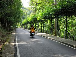 Monkey Hill