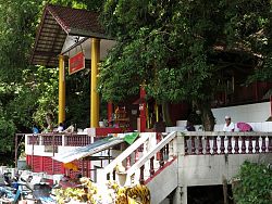 Monkey Hill