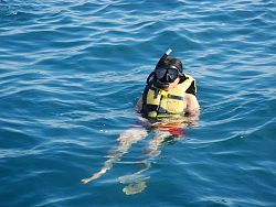 Snorkelling