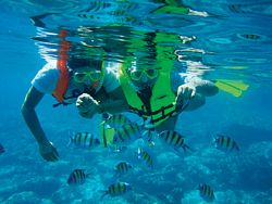 Snorkelling
