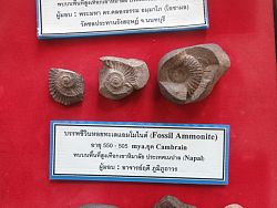 Family fun activities in Phuket<br>