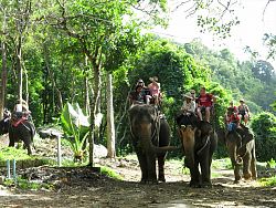 Family fun activities in Phuket<br>