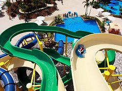 Photo by Splash Jungle