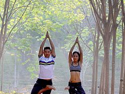 The wellness boom