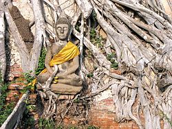 Ancient Ayutthaya