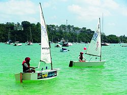 Topper Sail