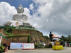 Phuket's gentle giant