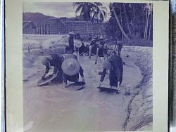 Historic buildings in Phuket