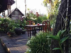 Natural restaurant