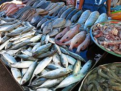 Phuket Markets