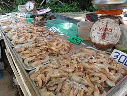 Phuket Markets