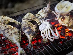 Seafood on display at one of the many seafood restaurants in town