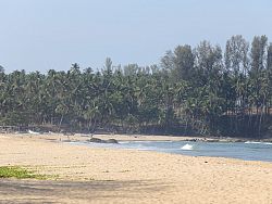 The beach appears to stretch as far as the eye can see
