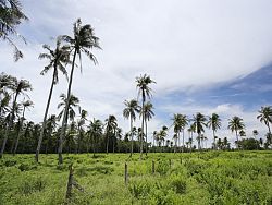 Natai Beach is quiet and undeveloped, making it the perfect relaxation spot and a peaceful day trip