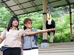 Phuket Bird Park