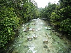 Fast flowing stream