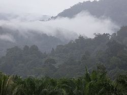 Mists in the mountains