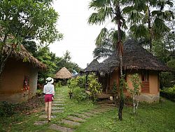 Bungalows at Kuraburi Greenview Resort