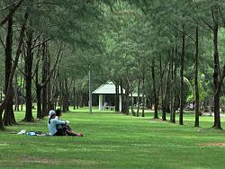 Sapan Hin: Mining Monumen