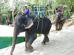 See Phuket through the eyes of Big Buddha