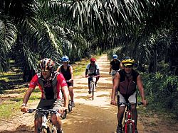 Mountain biking