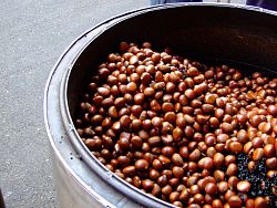Chestnuts roasting