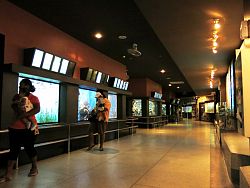 Phuket Aquarium