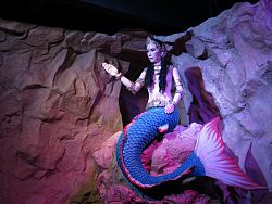 Phuket Aquarium