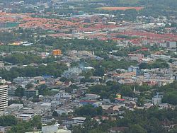 Monkey Hill
