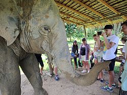 Phuket Elephant Sanctuary