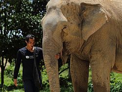 Phuket Elephant Sanctuary