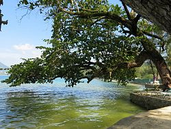 Tri Trang & Paradise Beaches