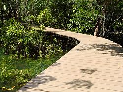 Tha Pom Klong Song Nam nature trail