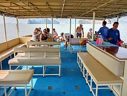  Simba Sea Trips & Soho Pool Club