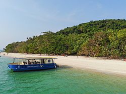  Simba Sea Trips & Soho Pool Club