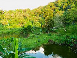 Still living in ‘Natural Phuket’