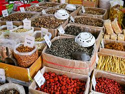Thailand's Healing Herbs