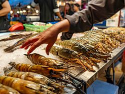 Chillva Market