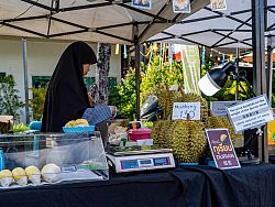Boat Avenue Fun Friday Market