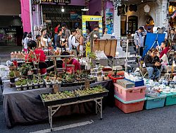 Sunday Walking Street (Talad Yai)